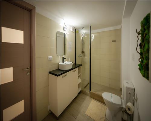 Pensiune Exclusivista Ultracentrala in Iasi  Eleganta, Confort si Investitie Profitabila
