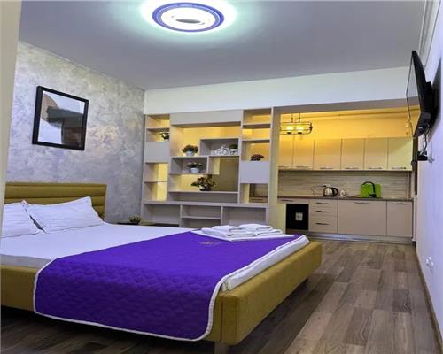 Garsoniera LAZAR RESIDENCE, PALAS MALL INTABULATA