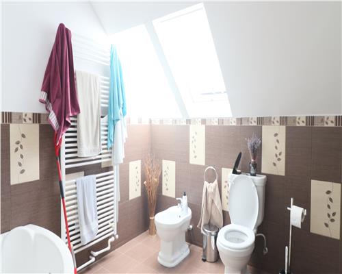 Vila individuala in Barnova 3 camere, 1000 mp teren, curte superba amenajata, garaj incalzit