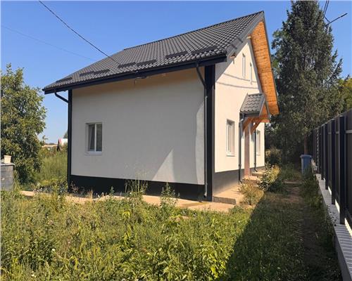 Casa traditionala reconditionata,  cu vedere la lac, Dorobant