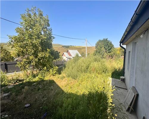 Casa traditionala reconditionata,  cu vedere la lac, Dorobant