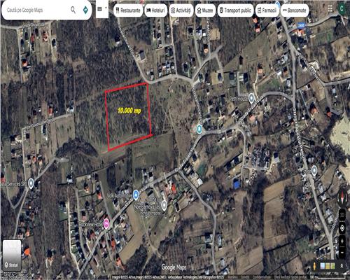 Teren 10.000 mp, Bucium Pietrăria,intravilan construibil